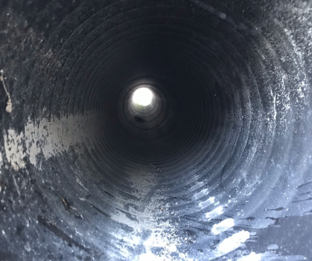 Will_SEWER_LINE_REPAIRS_DESTROY